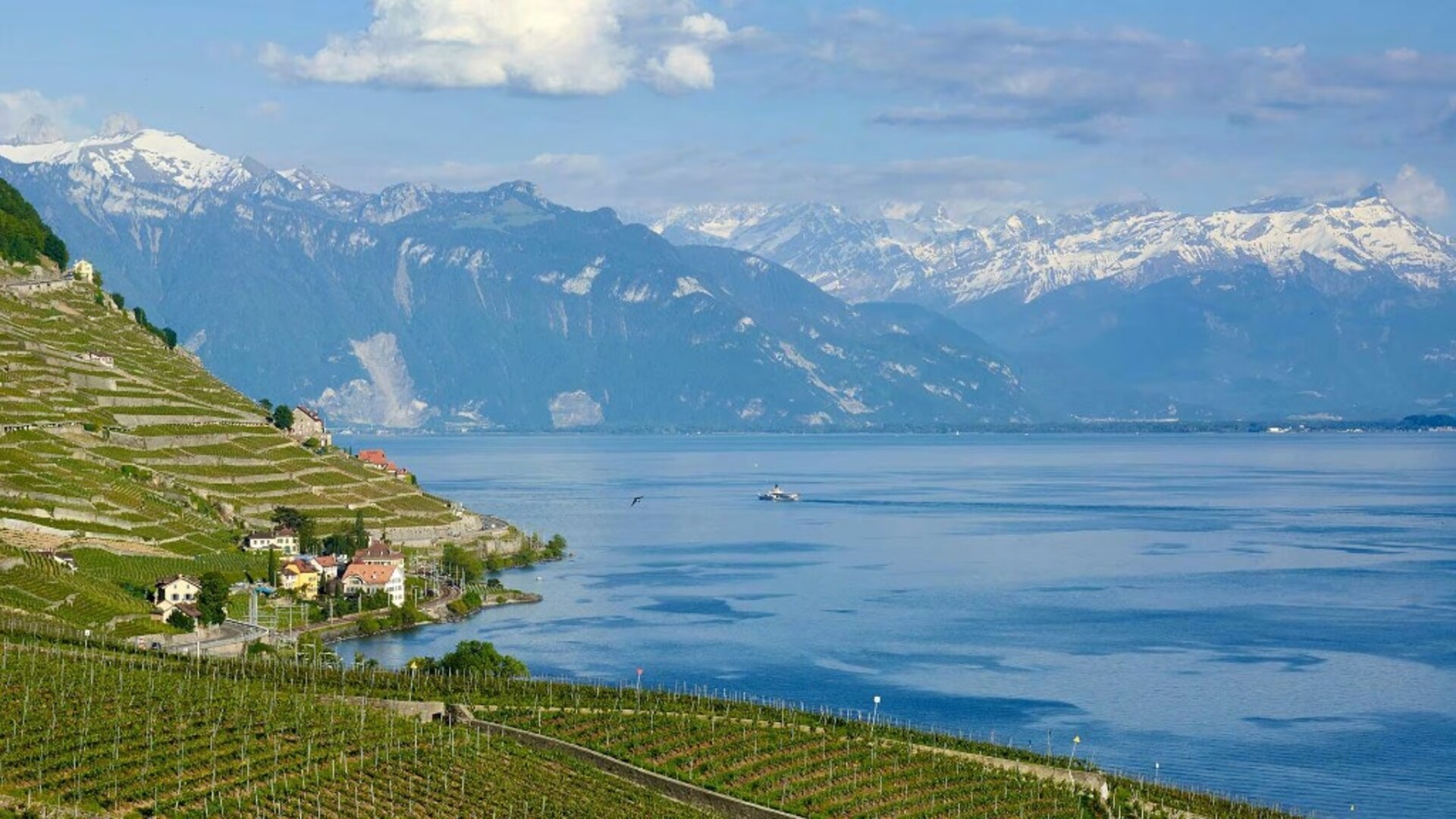 Vue de Lausanne, Valais - Photo par Oksana Bürki
